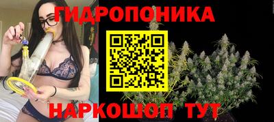 ALPHA PVP Чапаевск