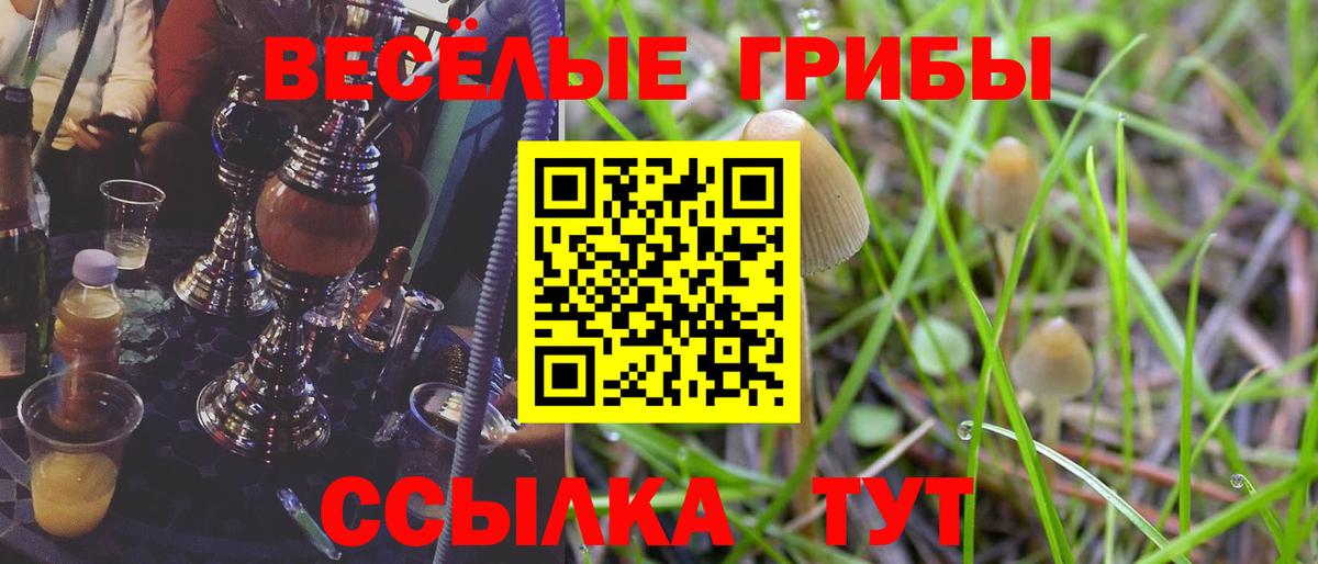 Миасс  Галлюциногенные грибы Psilocybe  Вход с VPN 