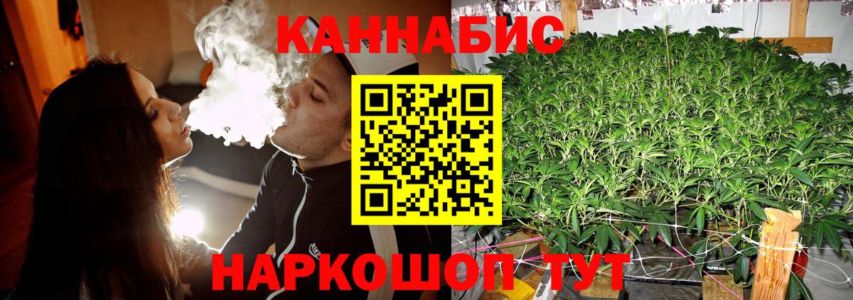 Конопля план Миасс